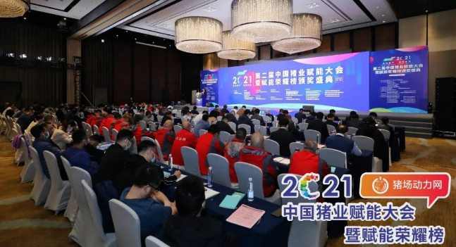 正康生?Plus榮獲“2021年度匠心飼料添加劑”！